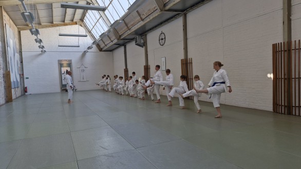 250625_karate_pruefung__12.jpeg