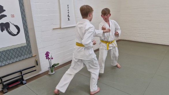 250625_karate_pruefung__7.jpeg