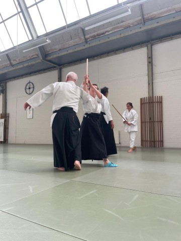 250308_Aikido_Special_032025_8.jpeg