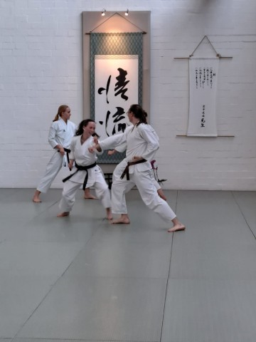 250625_karate_pruefung__1.jpeg
